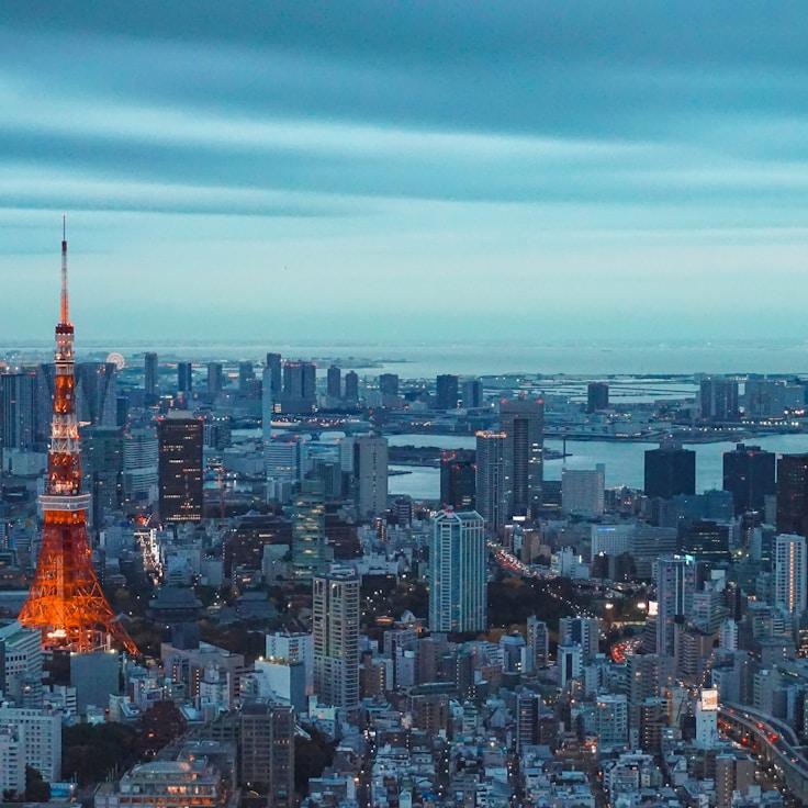 Family routine and school logistics in Amsterdam